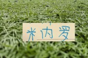 马纳法五月比赛报销！